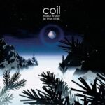 Coil - Musick to play in the Dark (2 LP-Vinilo)