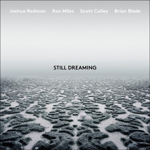 Joshua Redman - Still dreaming (CD)