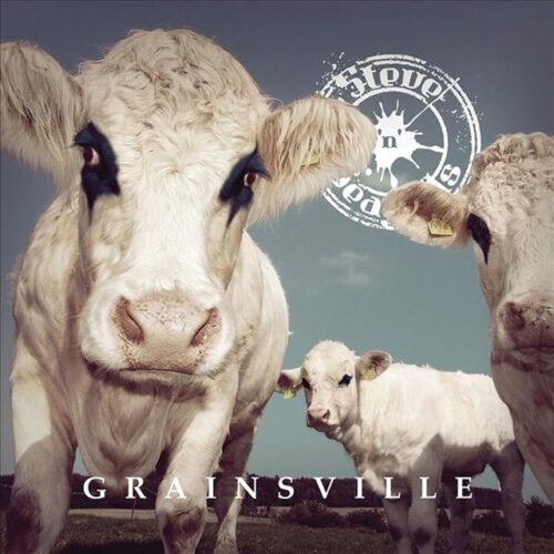 Steve 'N' Seagulls - Grainsville (LP-Vinilo)
