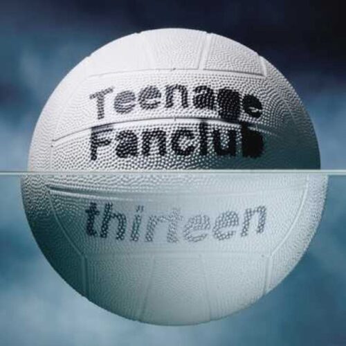 Teenage Fanclub - Thirteen (2 LP-Vinilo)