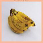 - The Sound of Yourself (CD)