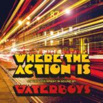 Waterboys - Where The Action Is (CD)